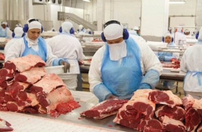Exportação bovina, carne bovina, exportação carne, rabobank